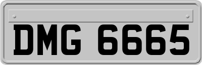 DMG6665