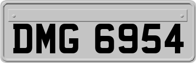 DMG6954