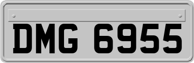 DMG6955