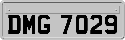DMG7029