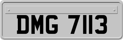 DMG7113