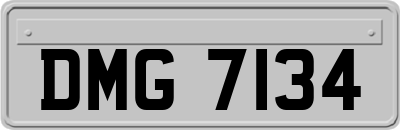 DMG7134
