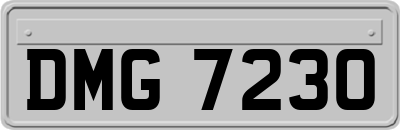 DMG7230