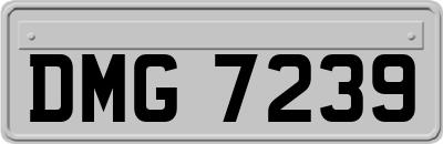 DMG7239