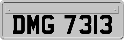 DMG7313