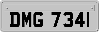 DMG7341
