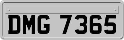 DMG7365
