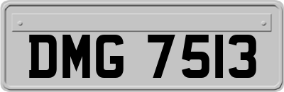 DMG7513