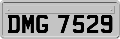 DMG7529