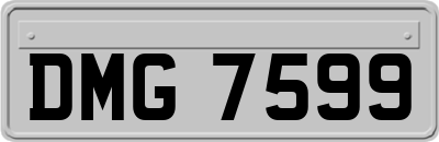DMG7599