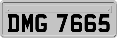 DMG7665