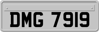 DMG7919
