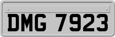 DMG7923