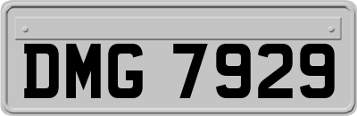 DMG7929