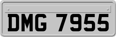 DMG7955