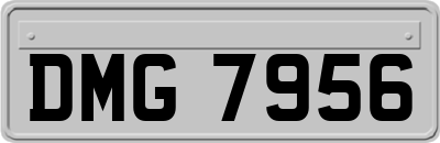 DMG7956