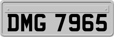 DMG7965