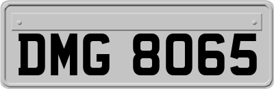 DMG8065