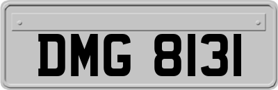 DMG8131