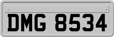 DMG8534