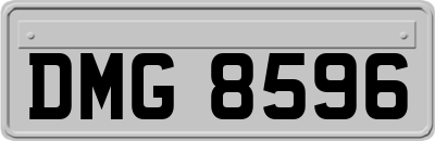 DMG8596