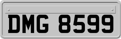 DMG8599