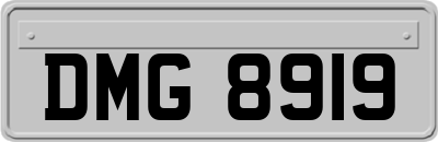 DMG8919