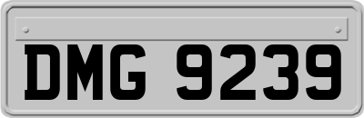 DMG9239