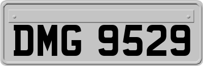 DMG9529