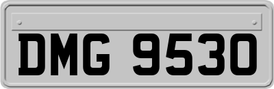 DMG9530
