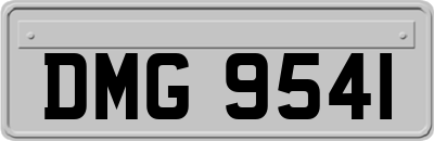 DMG9541