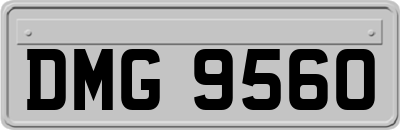 DMG9560