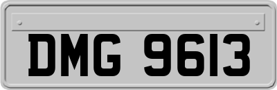 DMG9613