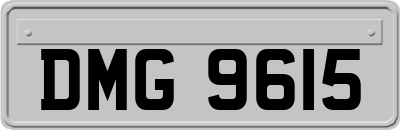 DMG9615