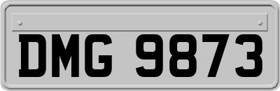 DMG9873