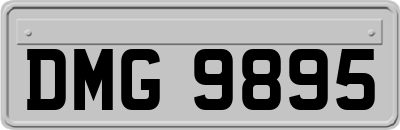 DMG9895