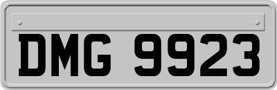 DMG9923