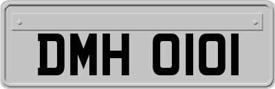 DMH0101