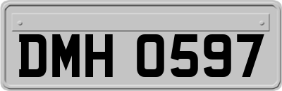 DMH0597