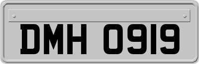 DMH0919