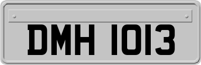 DMH1013