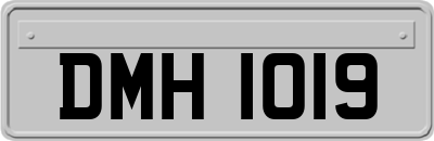 DMH1019