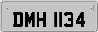 DMH1134