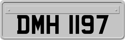 DMH1197