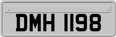 DMH1198