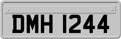 DMH1244