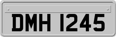 DMH1245