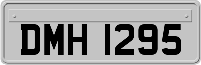 DMH1295