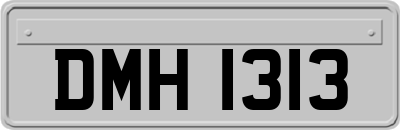 DMH1313