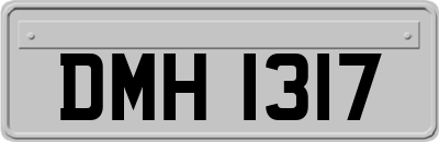 DMH1317